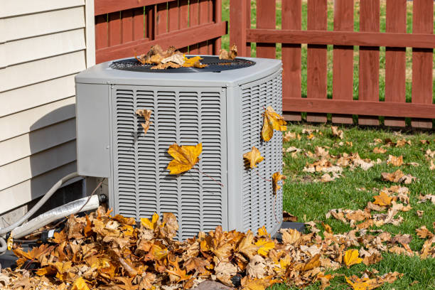 Best Affordable HVAC services  in Elkins, AR
